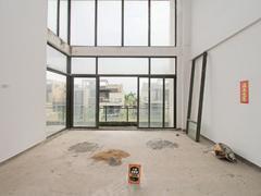 凯茵又一城 6室3厅308m²毛坯