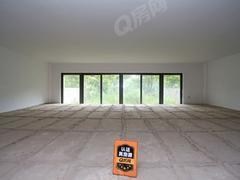 凯茵又一城 4室3厅239.1m²满五年