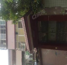 东区自建房 5室2厅191m²普通装修