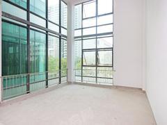 誉港湾花园 5室3厅256.58m²满五年