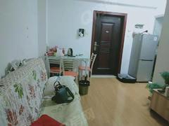 望城公馆 1室1厅48m²普通装修