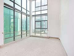 誉港湾花园 5室3厅254.84m²满五年