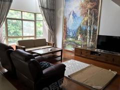 博学苑银杏园 4室2厅232m²满五年